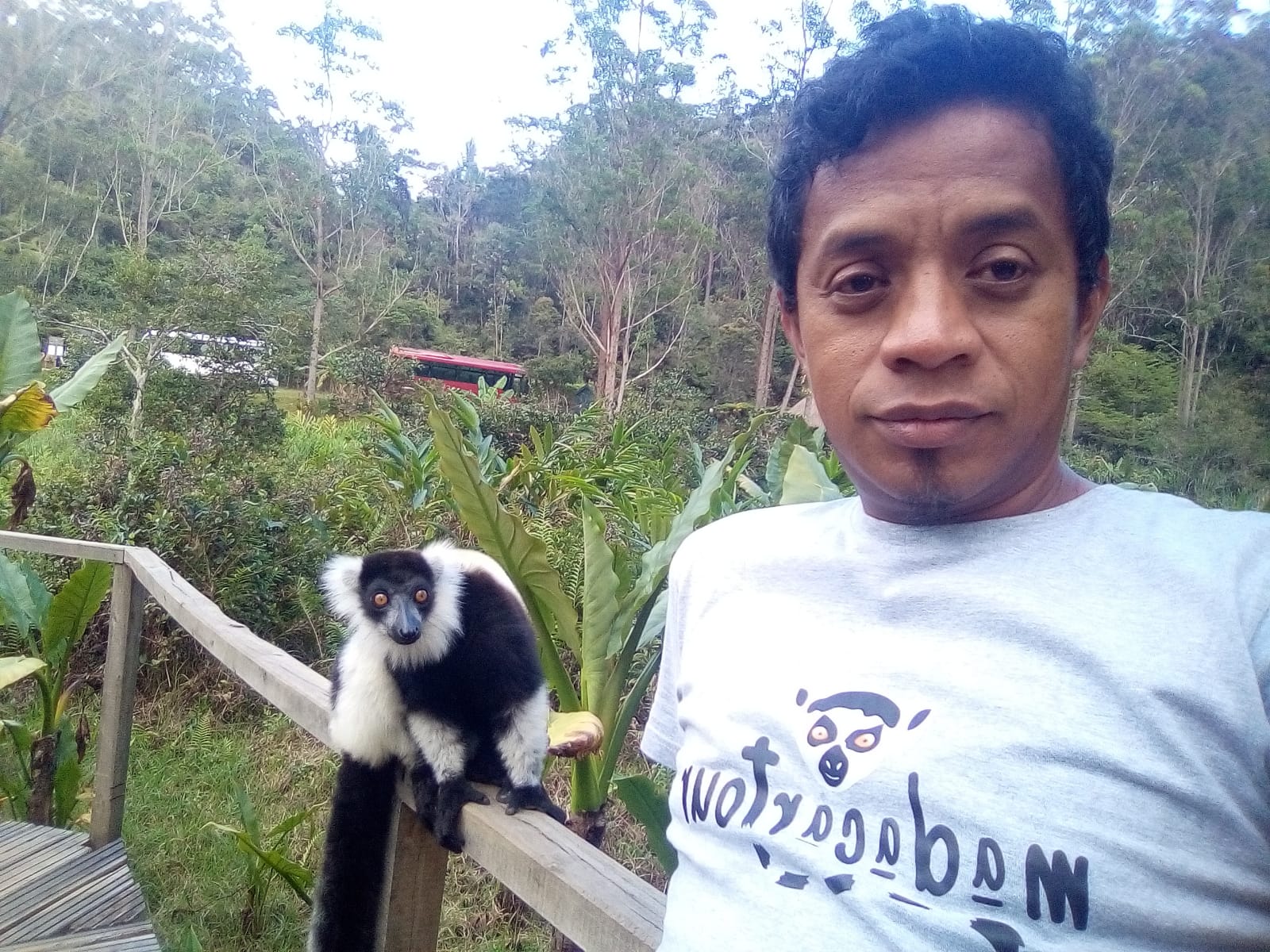 Andasibe: A Rainforest Realm of Wonders