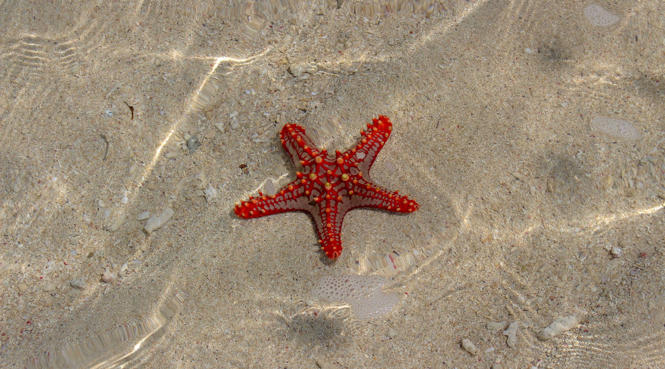 Nosy Be: A Tropical Archipelago of Beaches, Lemurs, and Island Hopping Adventures