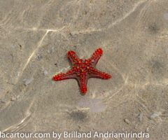 Nosy Be: A Tropical Archipelago of Beaches, Lemurs, and Island Hopping Adventures