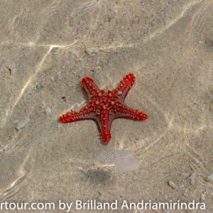 Nosy Be: A Tropical Archipelago of Beaches, Lemurs, and Island Hopping Adventures