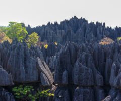 Tsingy de Bemaraha: A Labyrinth of Stone and Biodiversity
