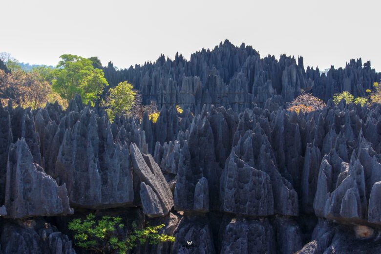 Solo Travel Madagascar? Couple? Family? Small Group? Create Your Dream Itinerary with Madacartour!