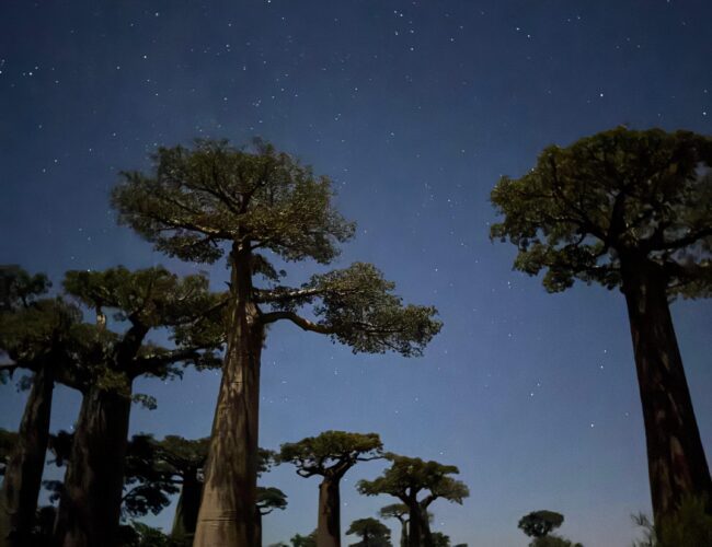 Protected: Tana-Morondava-Tana